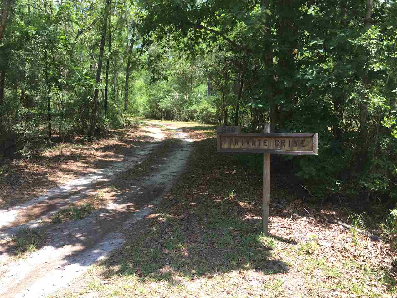 646 Darien Road Tallahassee, FL 32305 - Photo 10 of 15 Gallery Image 10