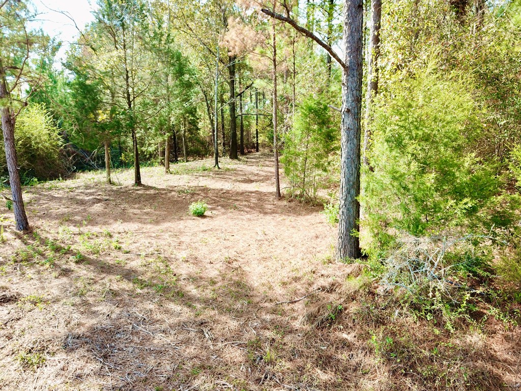 3-acres Lucy Grade Road Ashford, AL 36312 - Photo 7 of 18