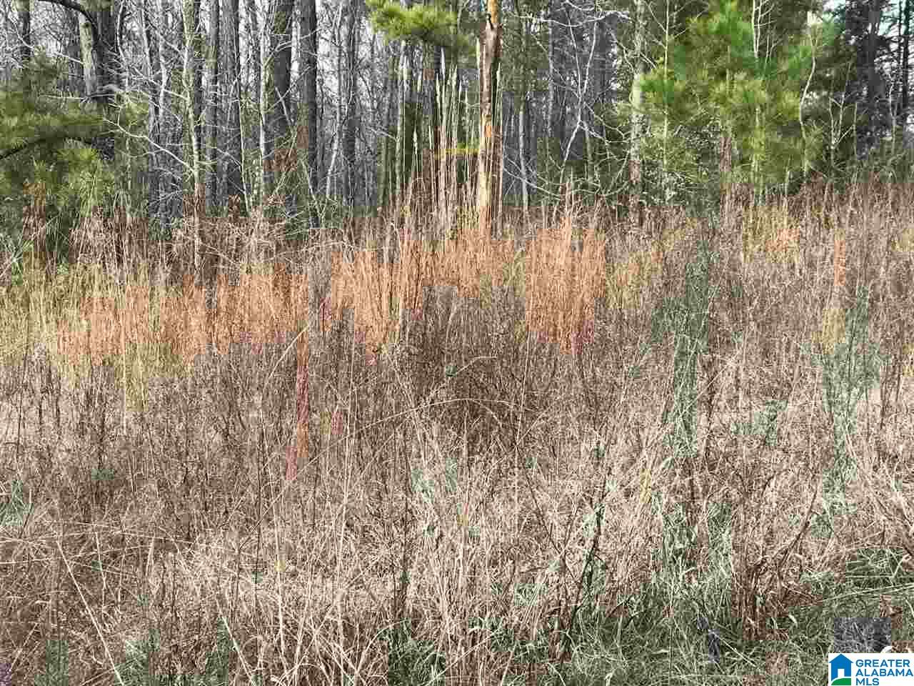 12186 Plowman Road, Unit 2 ACRES Gordo, AL 35466 - Photo 3 of 5