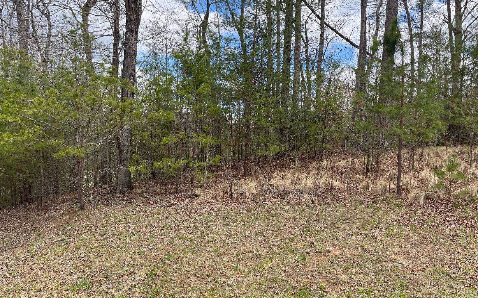 24 Ridgeview Mountain Young Harris, GA 30582 - Photo 2 of 4 Additional View