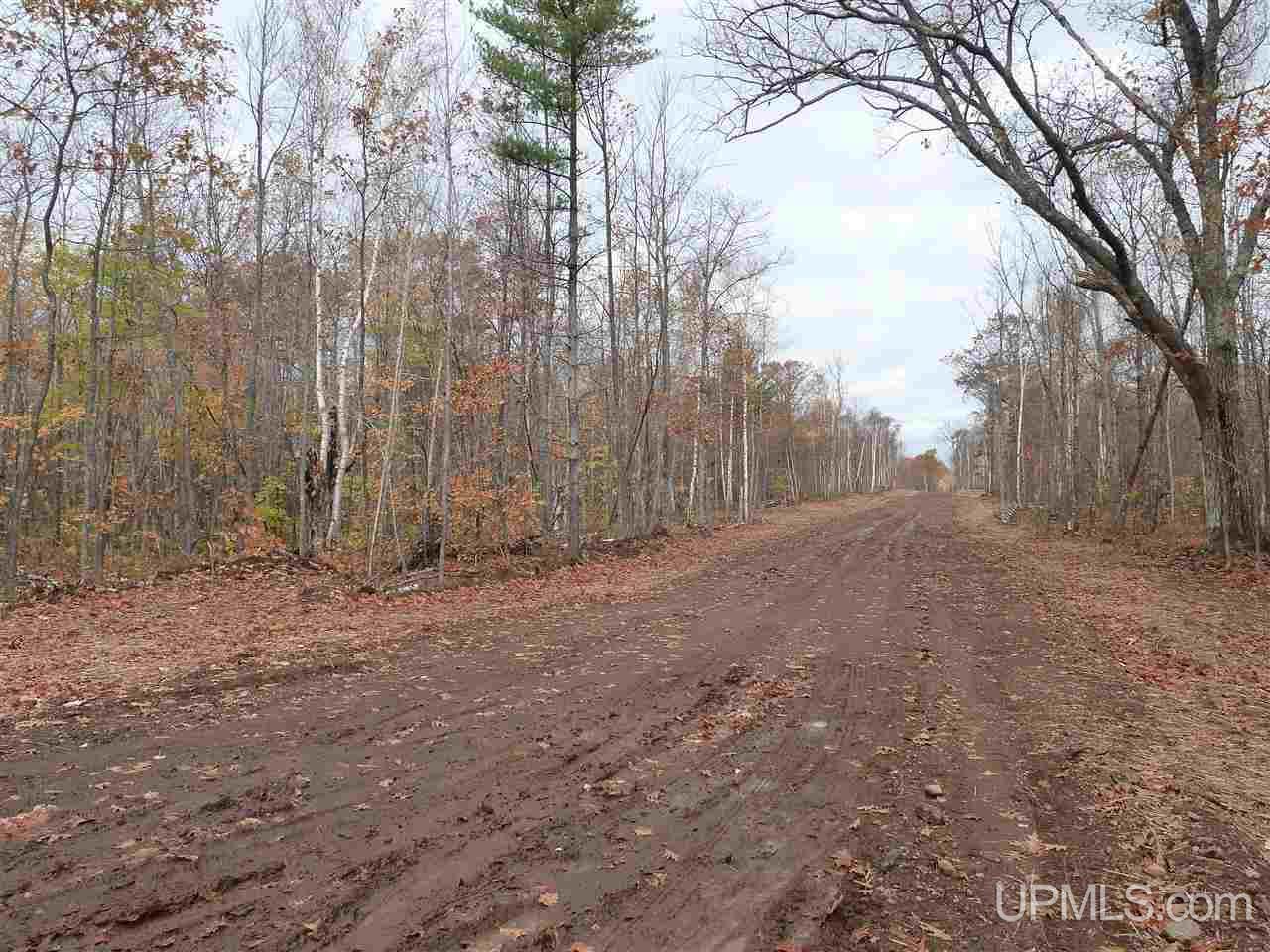 Tbd A - G Deere Ridge Road Calumet, MI 49930 - Photo 24 of 39