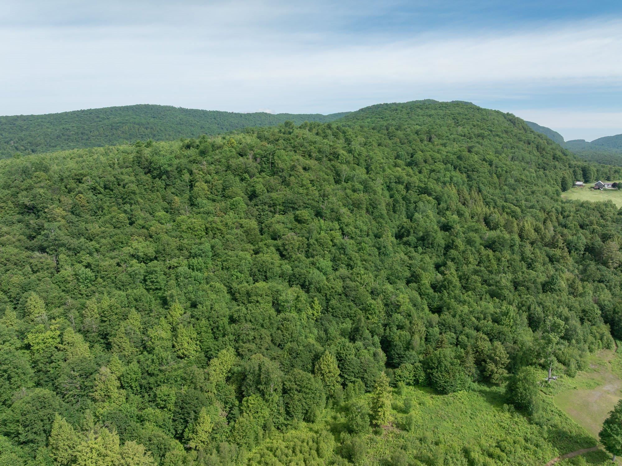 0 Birch Tree Lane, Unit LOT 1 Waterville, VT 05492 - Photo 5 of 13