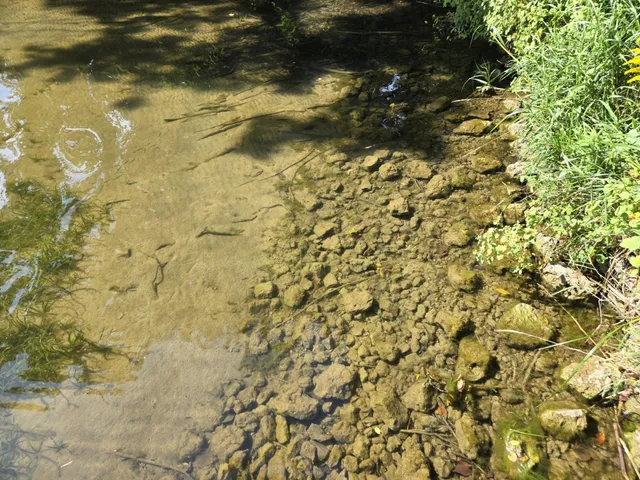 a view of beach and an ocean