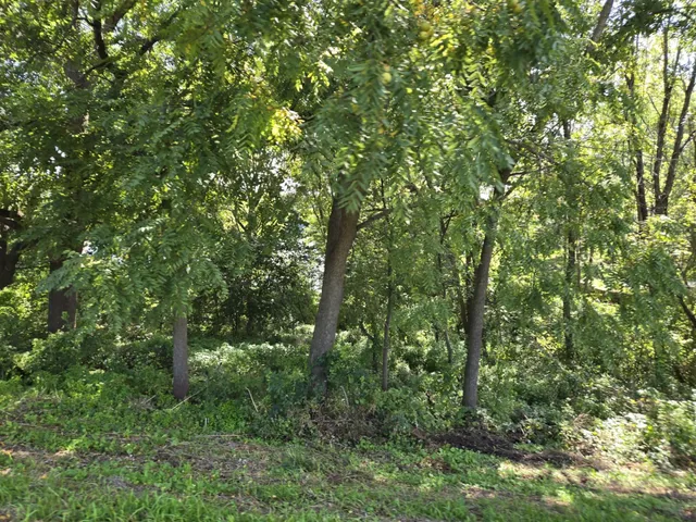 a lake view with a lake view