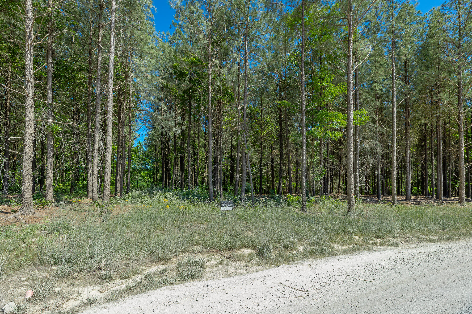 0 Split Rail Way, Unit 1349 Guild, TN 37340 - Photo 24 of 108 0 Split Rail Way - Lot 1349 HD-53