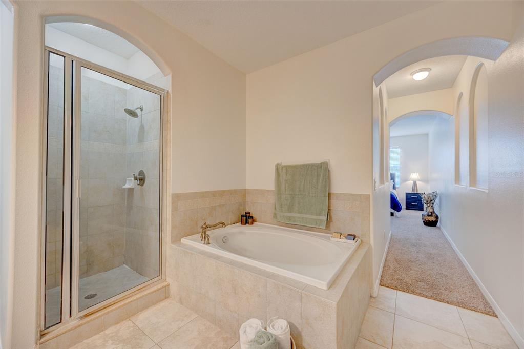 6020 Fishhawk Crossing Boulevard Lithia, FL 33547 - Photo 30 of 53 a bathroom with a tub sink and mirror