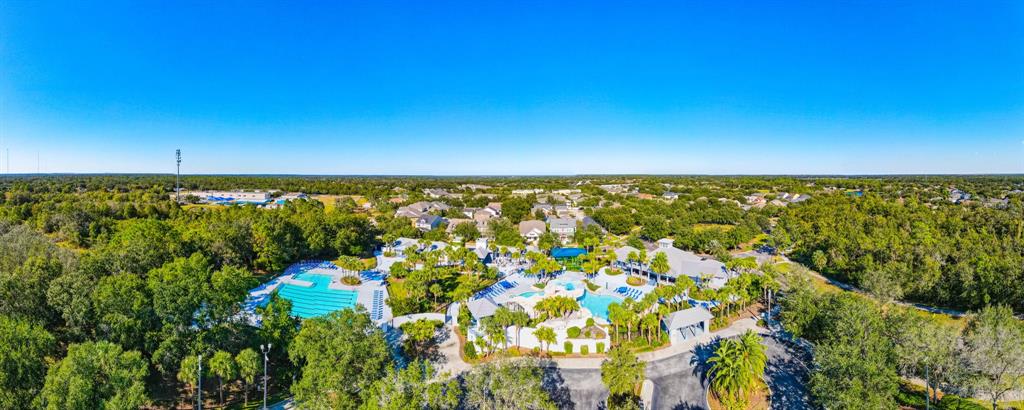 6020 Fishhawk Crossing Boulevard Lithia, FL 33547 - Photo 53 of 53 a view of a lake