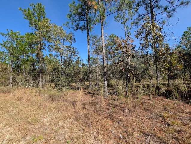 $24,900 | Southeast 135th Court, Dunnellon, FL 34431