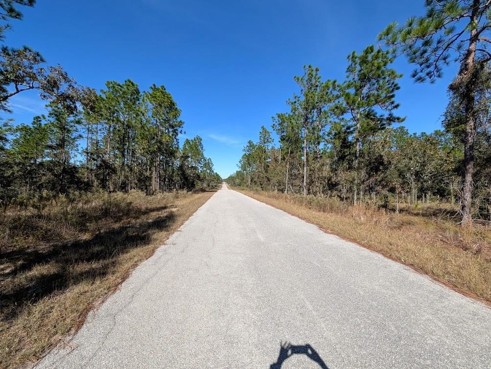 Southeast 135th Court Dunnellon, FL 34431 - Photo 3 of 8 a view of a road with a yard