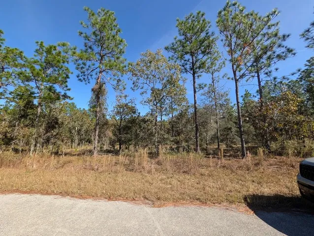 $24,900 | Southeast 135th Court, Dunnellon, FL 34431