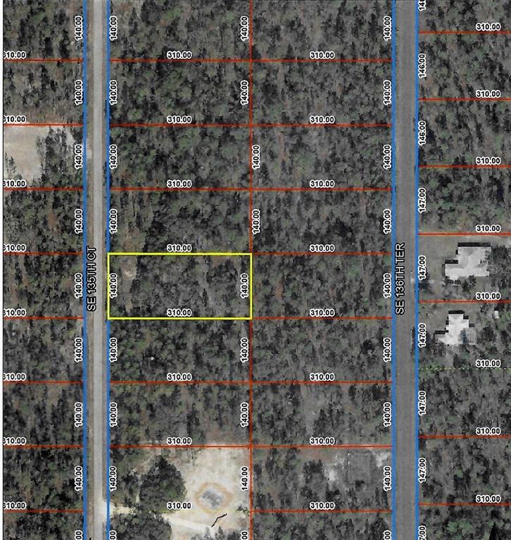 Southeast 135th Court Dunnellon, FL 34431 - Photo 6 of 8