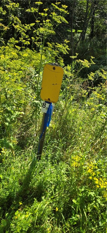 29 County Roue Jefferson, NY 12093 - Photo 12 of 16 APPROXIMATE NE BOUDARY ON ROAD