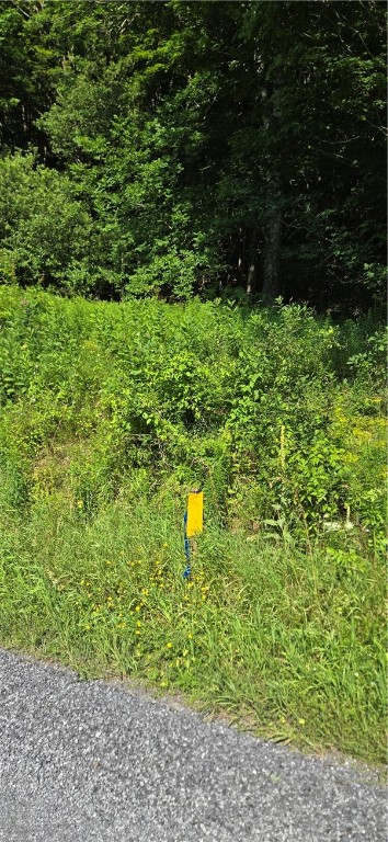 29 County Roue Jefferson, NY 12093 - Photo 13 of 16 APPROXIMATE NW BOUDARY ON ROAD