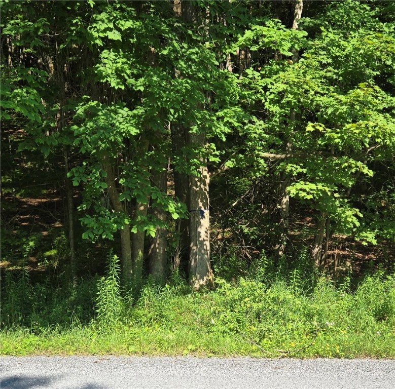 29 County Roue Jefferson, NY 12093 - Photo 14 of 16 APPROXIMATE SW BOUDARY ON ROAD