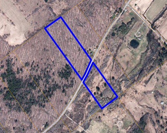 29 County Roue Jefferson, NY 12093 - Photo 16 of 16