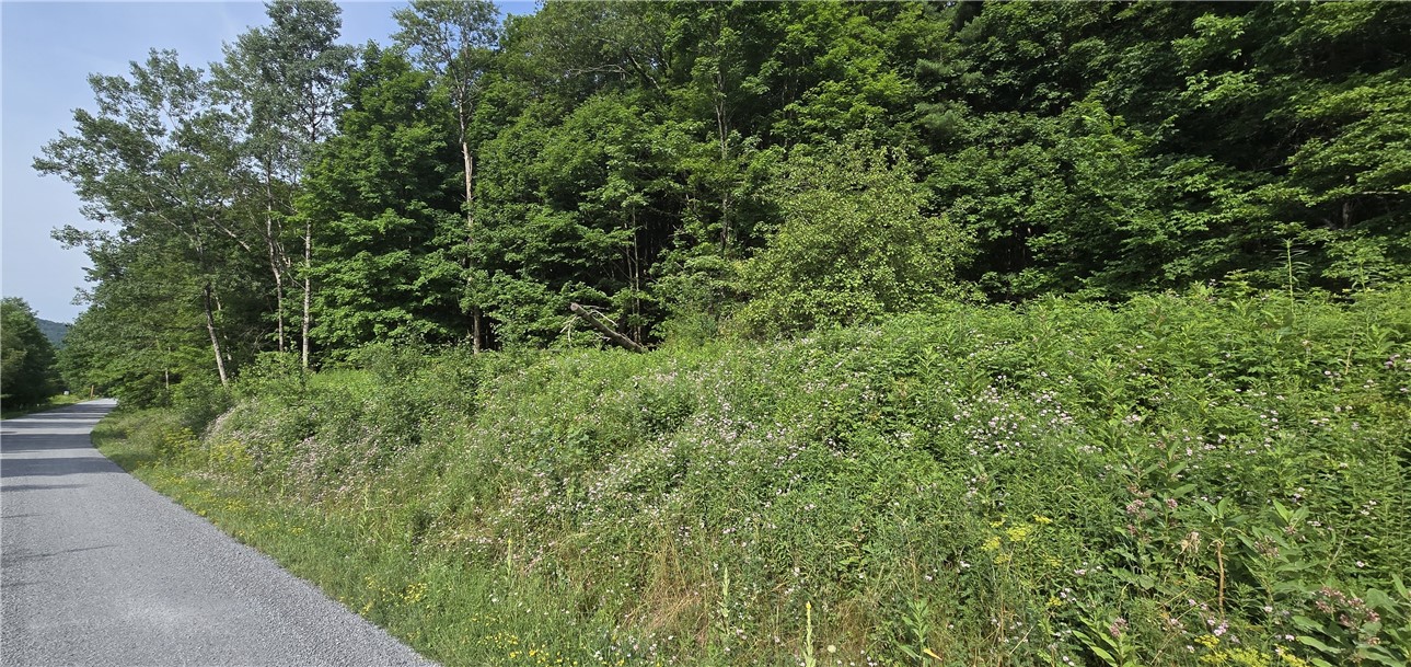 29 County Roue Jefferson, NY 12093 - Photo 3 of 16