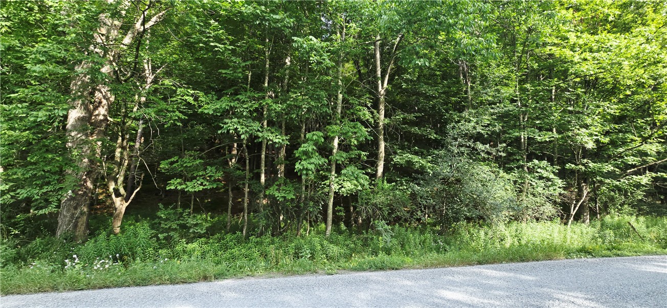 29 County Roue Jefferson, NY 12093 - Photo 4 of 16