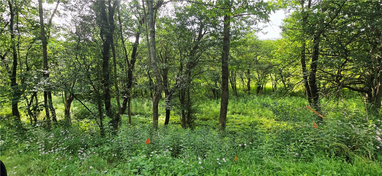 29 County Roue Jefferson, NY 12093 - Photo 5 of 16