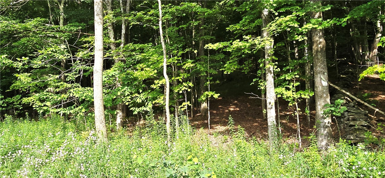 29 County Roue Jefferson, NY 12093 - Photo 6 of 16