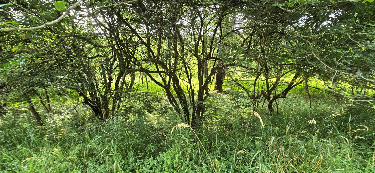 29 County Roue Jefferson, NY 12093 - Photo 7 of 16