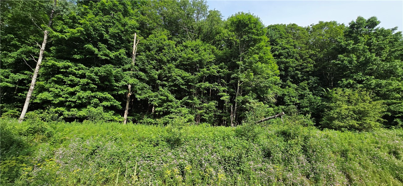 29 County Roue Jefferson, NY 12093 - Photo 8 of 16