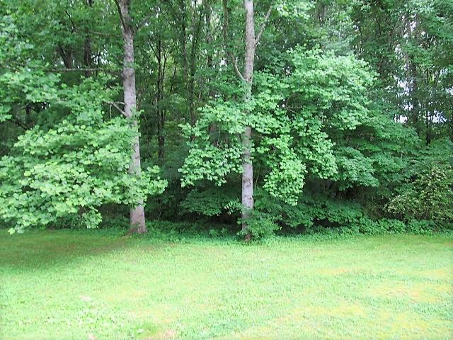 3248 Riley Creek Road Normandy, TN 37360 - Photo 20 of 24 a view of a garden