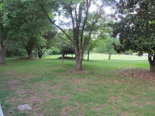 3248 Riley Creek Road Normandy, TN 37360 - Photo 22 of 24 a view of outdoor space with trees all around