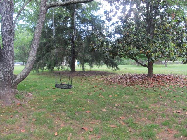 3248 Riley Creek Road Normandy, TN 37360 - Photo 23 of 24 a view of a tree in a yard