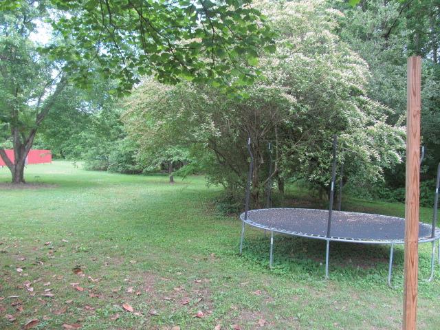3248 Riley Creek Road Normandy, TN 37360 - Photo 24 of 24 a garden view