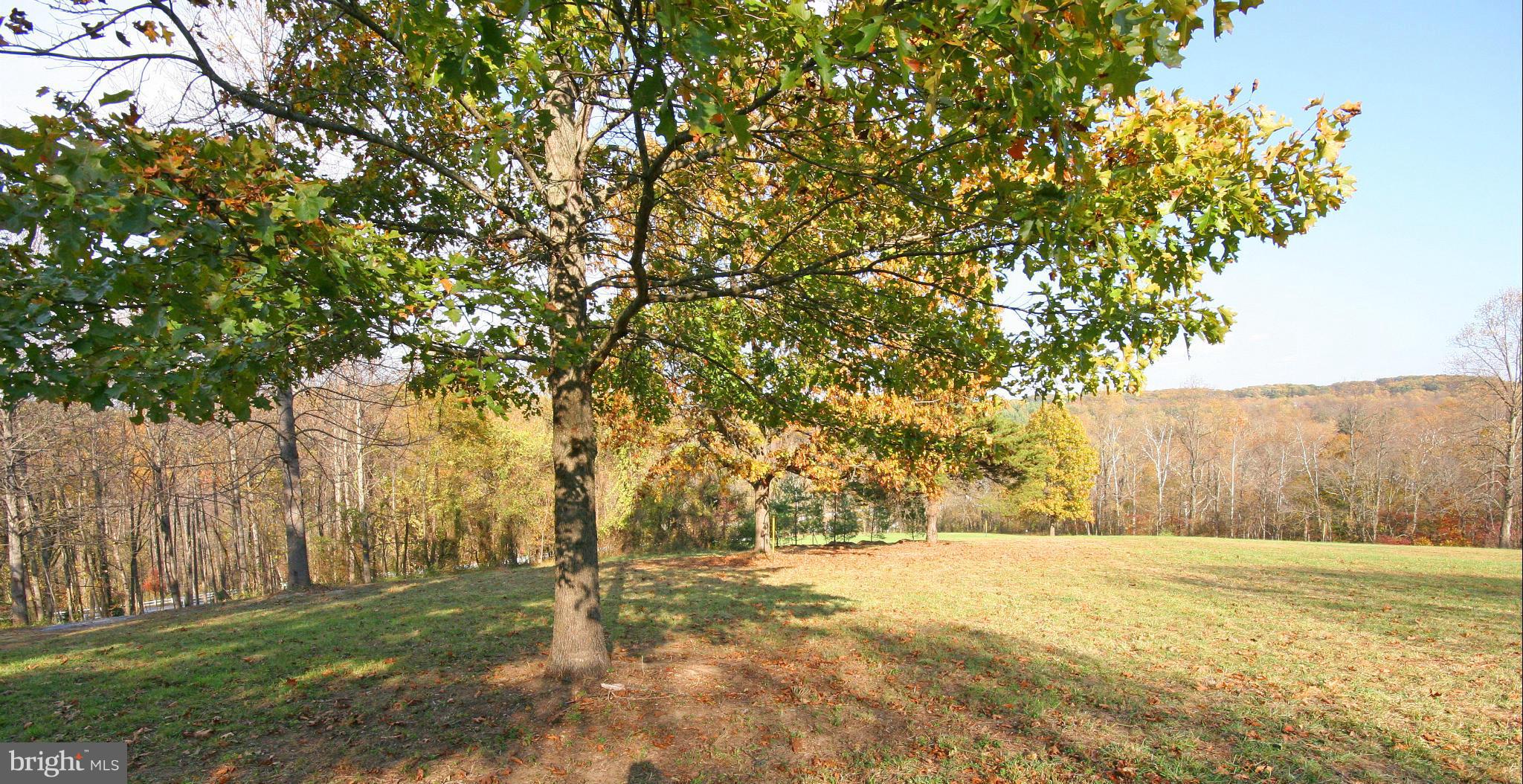 8195 Peters Road Frederick, MD 21704 - Photo 12 of 14 View