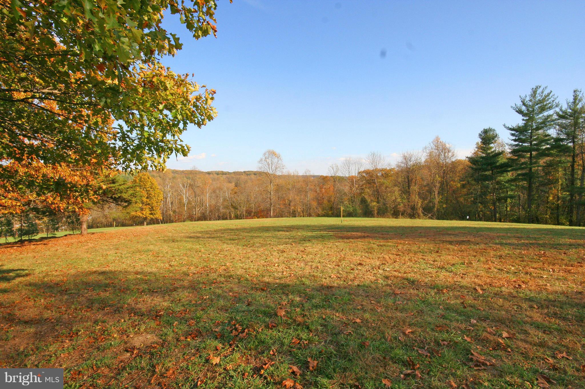 8195 Peters Road Frederick, MD 21704 - Photo 8 of 14 View