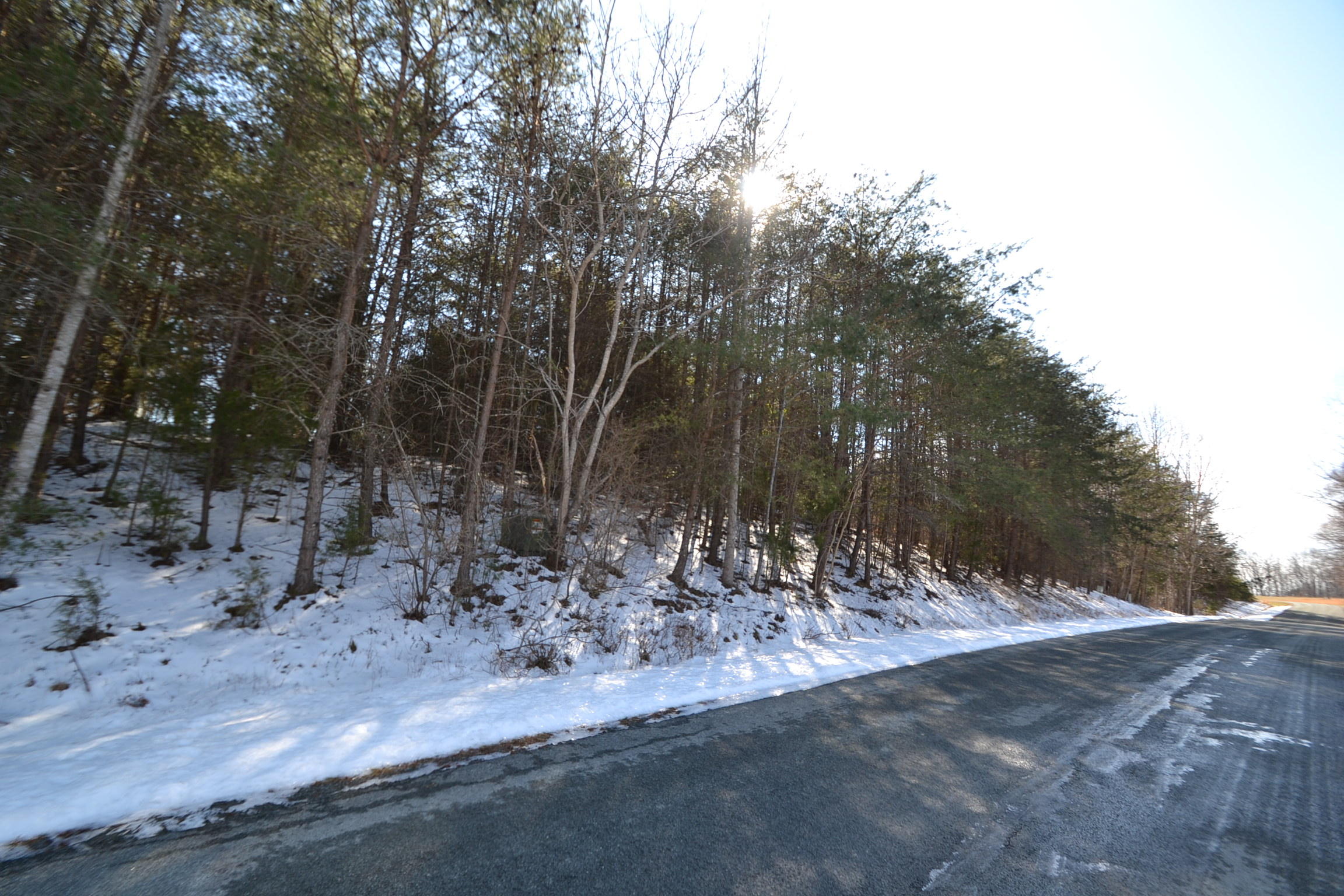 Lot 17 Cedar Ridge Rd Union Union Hall, VA 24176 - Photo 5 of 6 DSC_0019