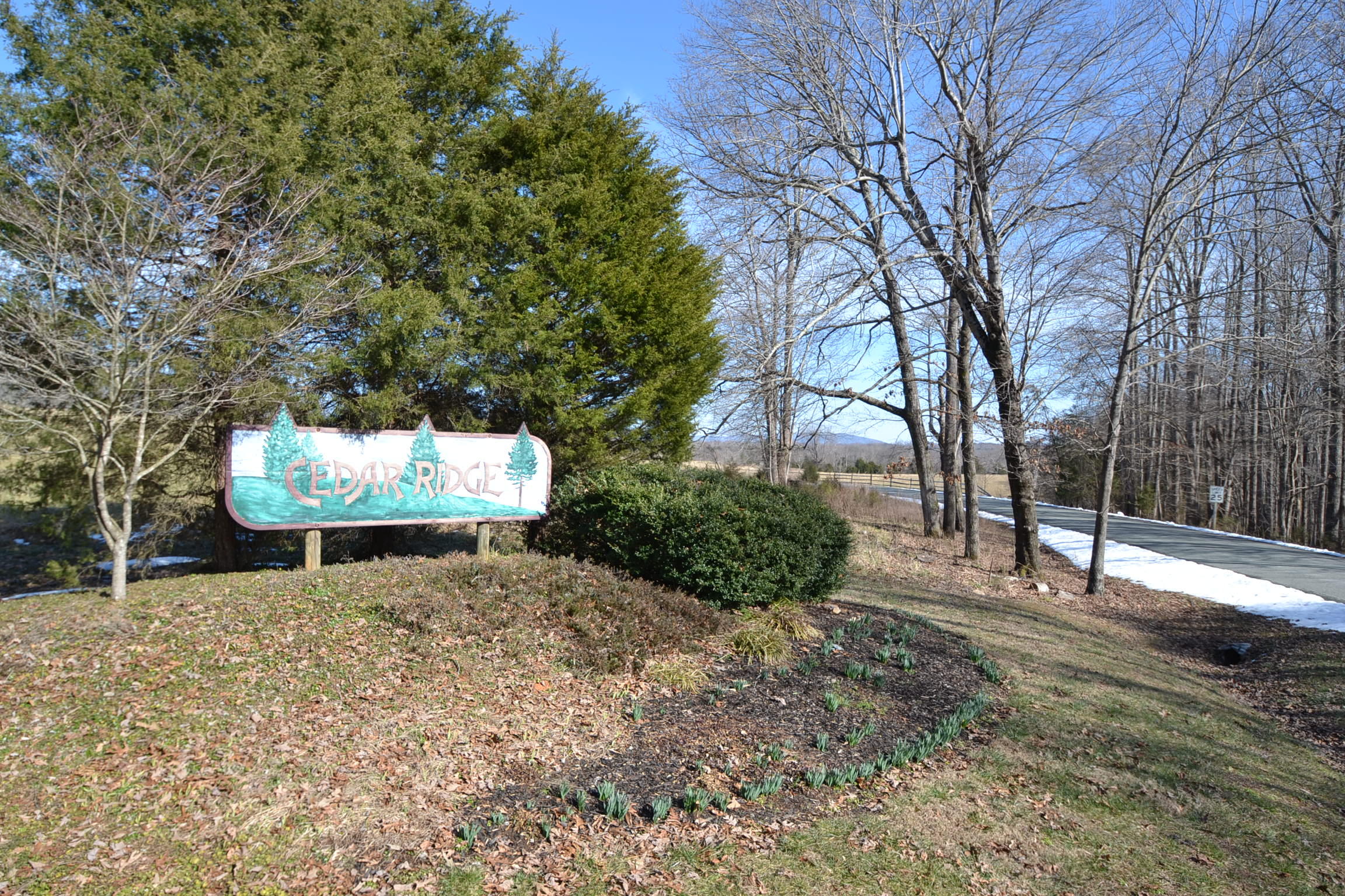 Lot 17 Cedar Ridge Rd Union Union Hall, VA 24176 - Photo 6 of 6 Cedar Ridge Subdivision