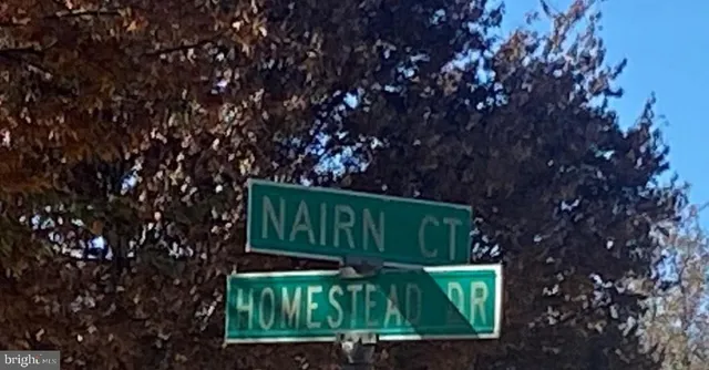 a view of a back yard