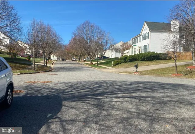 a view of road with large trees