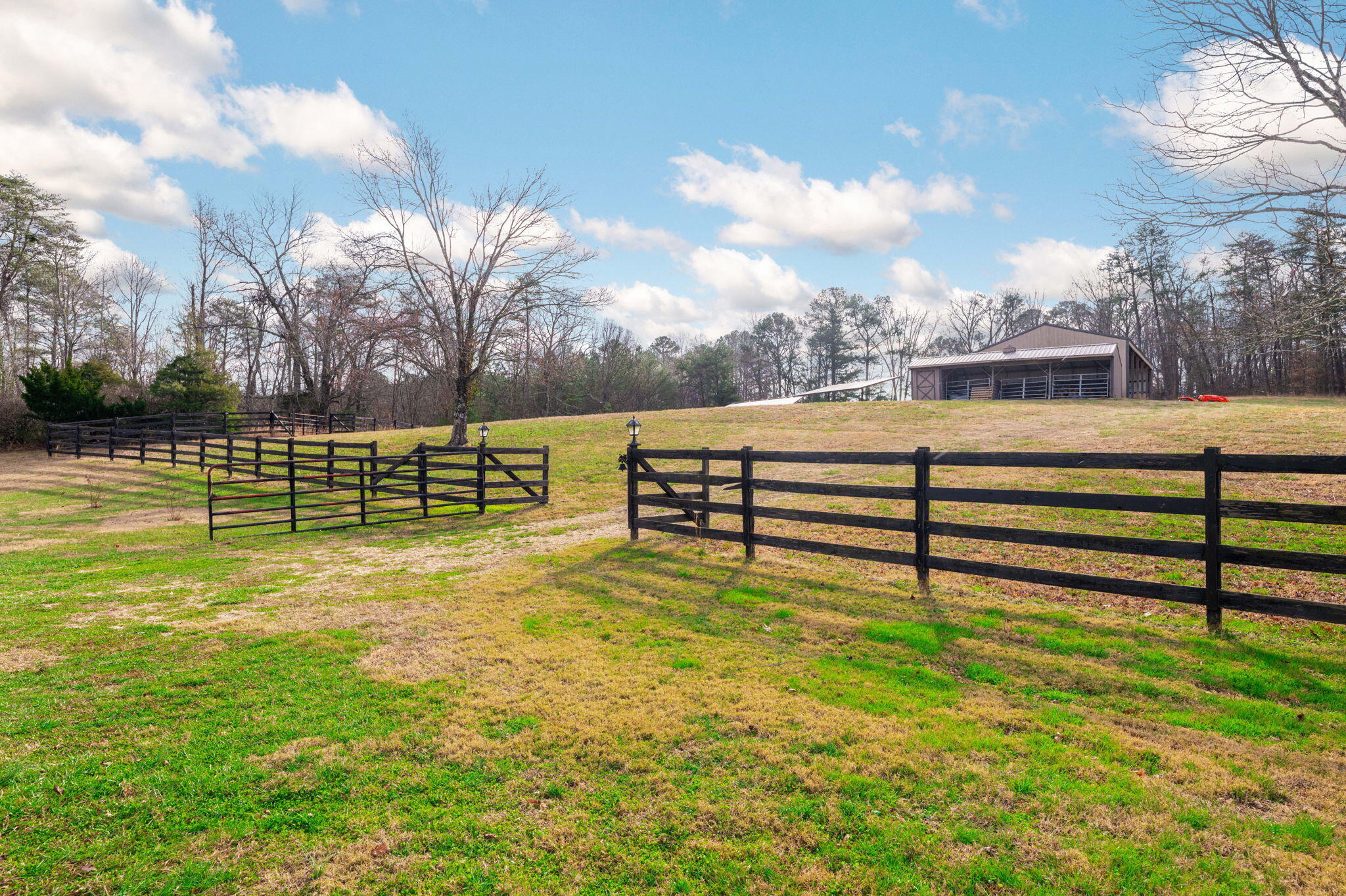 320 Crestview Lane Dayton, TN 37321 - Photo 48 of 59 79-web-or-mls-DSC_3533