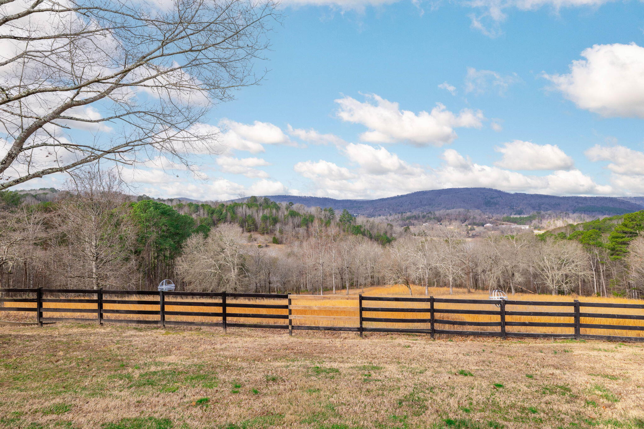 320 Crestview Lane Dayton, TN 37321 - Photo 50 of 59 80-web-or-mls-DSC_3502
