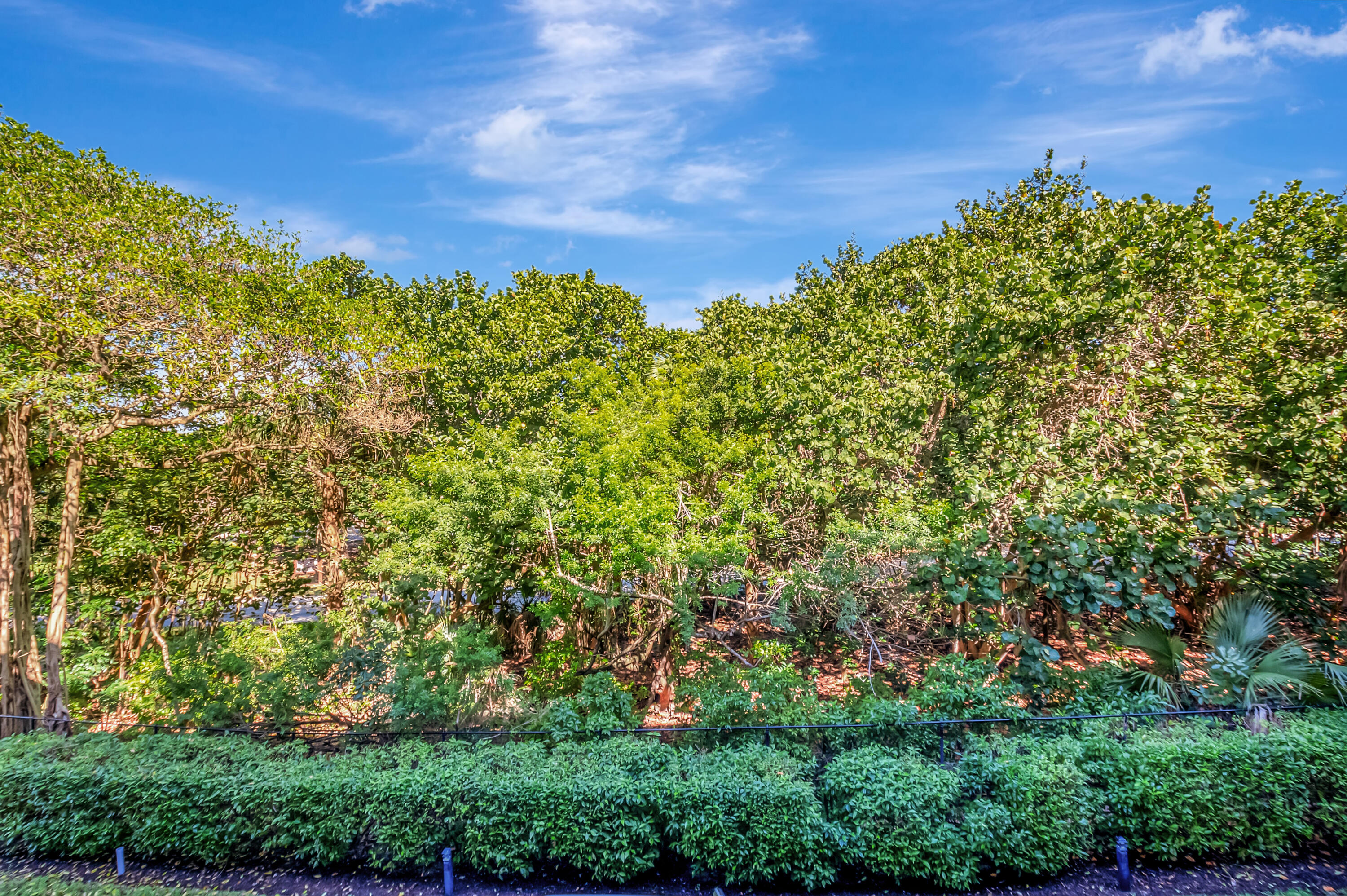 2871 North Ocean Boulevard, Unit C205 Boca Raton, FL 33431 - Photo 94 of 97 DSC_2177