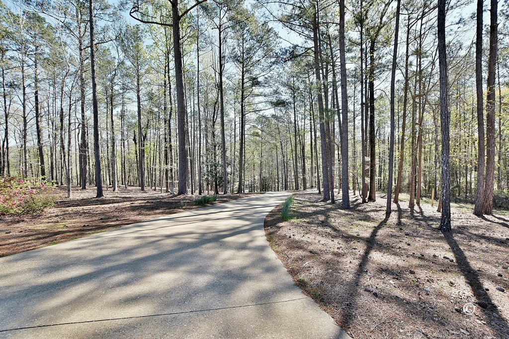10501 Whitesville Road Fortson, GA 31808 - Photo 54 of 59 Gallery Image 54