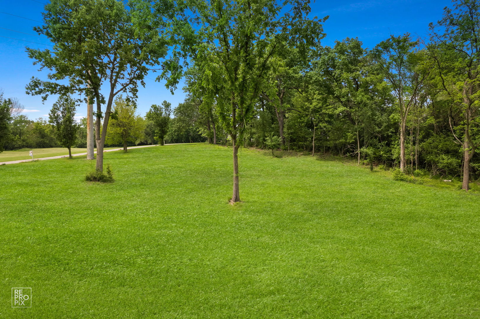10S641 South Garfield Street Burr Ridge, IL 60527 - Photo 6 of 15 a view of a park