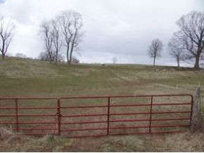 0 Loves Mill Road, Unit 2 Chilhowie, VA 24319 - Photo 3 of 8 Photo 3