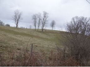 0 Loves Mill Road, Unit 2 Chilhowie, VA 24319 - Photo 4 of 8 Photo 4