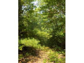0 Loves Mill Road, Unit 2 Chilhowie, VA 24319 - Photo 6 of 8 Photo 6