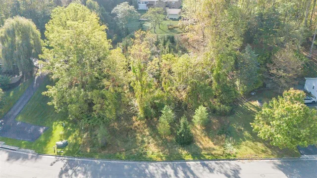 a view of a yard with plants