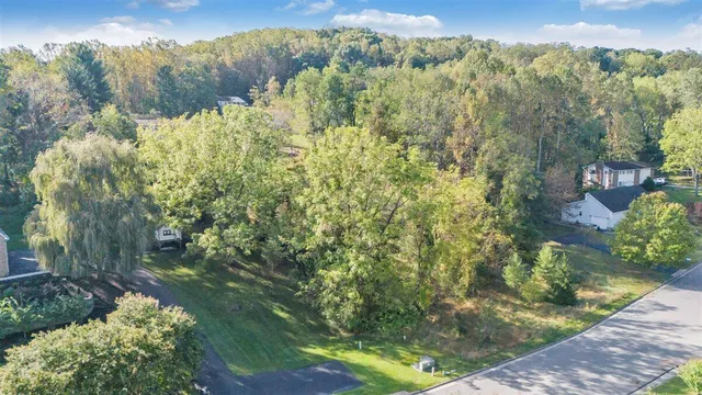 a view of a yard and a yard