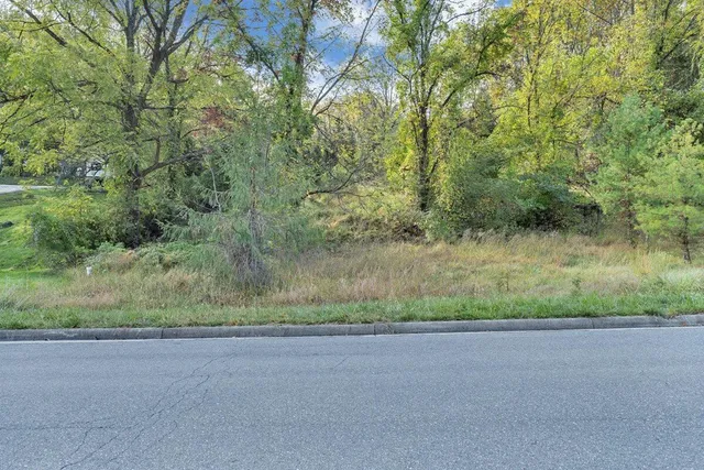 a view of a yard and a lake view
