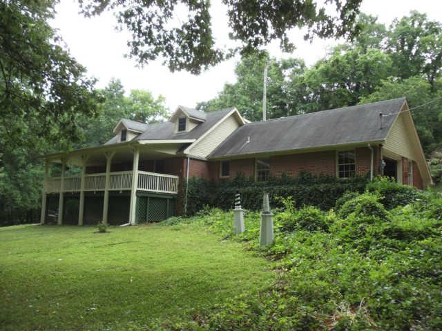 a backyard of a house with plants and tree