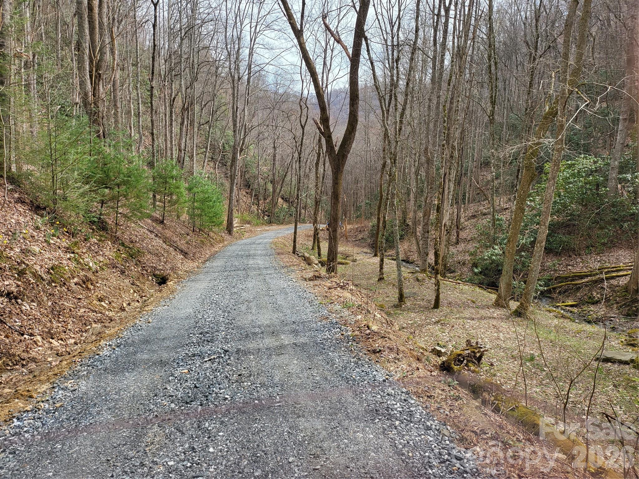 682 Rock House Road Hot Springs, NC 28743 - Photo 40 of 43 a view of outdoor space with trees