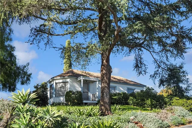 a flower plants and a tree in a garden