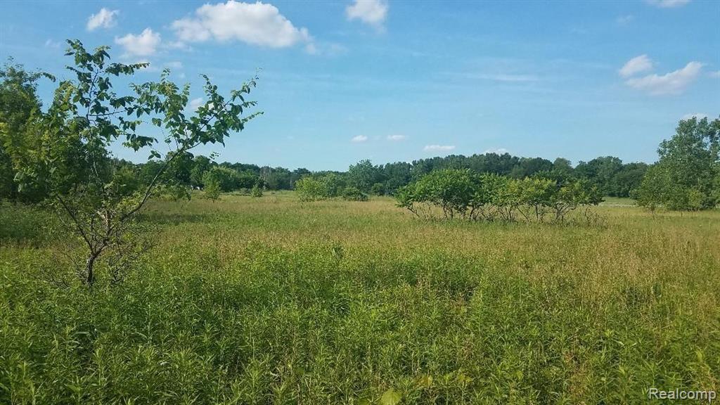 267 East Church Road Morrice, MI 48857 - Photo 3 of 4